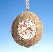 Kokosnöt med talg